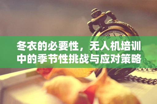 冬衣的必要性，无人机培训中的季节性挑战与应对策略