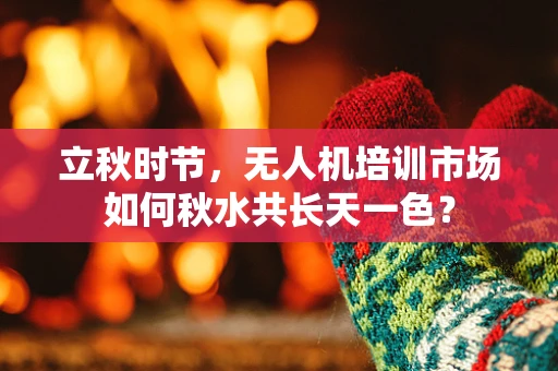 立秋时节，无人机培训市场如何秋水共长天一色？