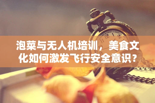 泡菜与无人机培训，美食文化如何激发飞行安全意识？