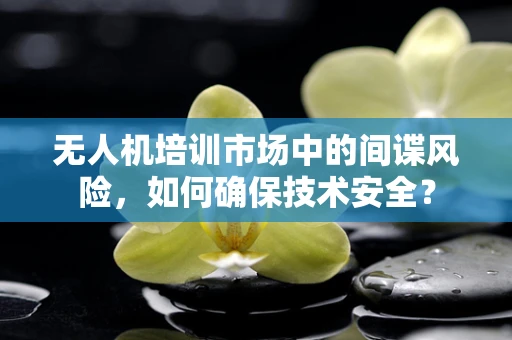无人机培训市场中的间谍风险，如何确保技术安全？
