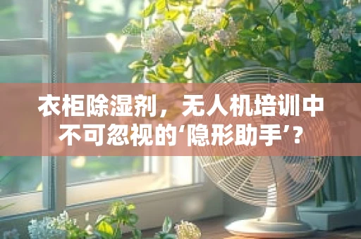 衣柜除湿剂，无人机培训中不可忽视的‘隐形助手’？