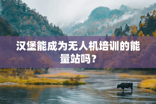 汉堡能成为无人机培训的能量站吗？