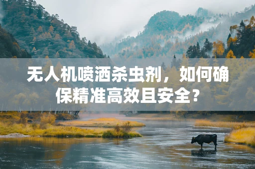 无人机喷洒杀虫剂，如何确保精准高效且安全？