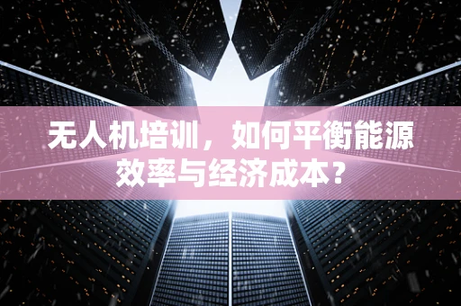 无人机培训，如何平衡能源效率与经济成本？