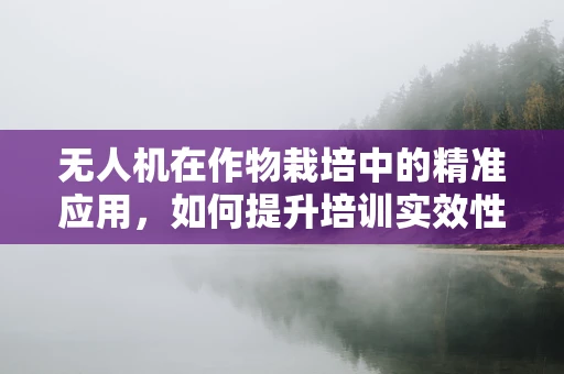 无人机在作物栽培中的精准应用，如何提升培训实效性？