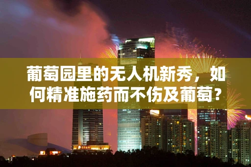 葡萄园里的无人机新秀，如何精准施药而不伤及葡萄？