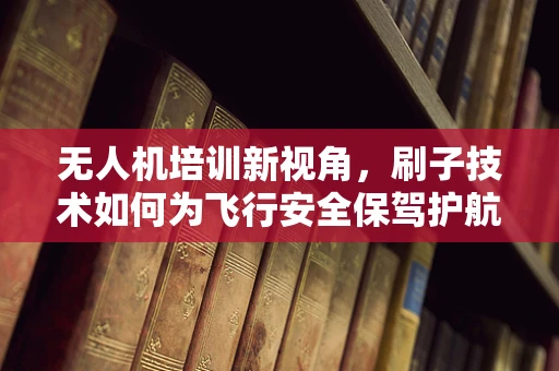 无人机培训新视角，刷子技术如何为飞行安全保驾护航？
