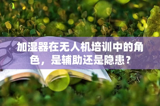 加湿器在无人机培训中的角色，是辅助还是隐患？