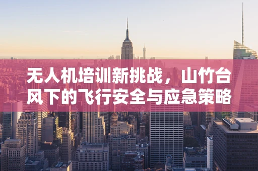 无人机培训新挑战，山竹台风下的飞行安全与应急策略