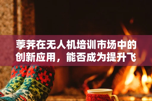 荸荠在无人机培训市场中的创新应用，能否成为提升飞行安全的新利器？
