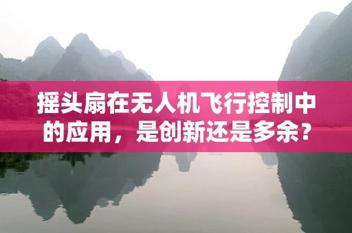 摇头扇在无人机飞行控制中的应用，是创新还是多余？