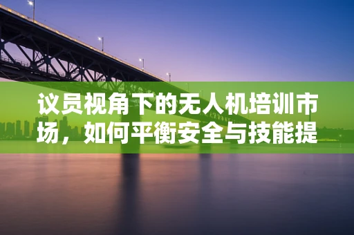 议员视角下的无人机培训市场，如何平衡安全与技能提升？