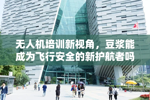 无人机培训新视角，豆浆能成为飞行安全的新护航者吗？