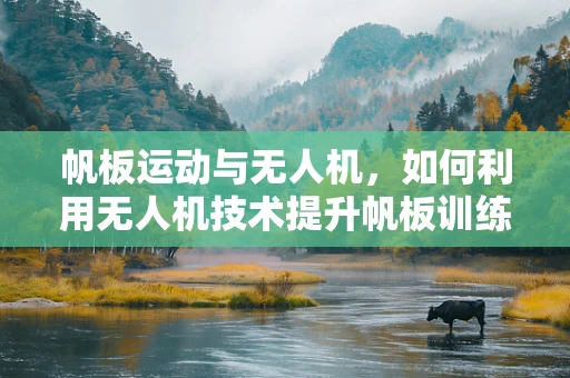 帆板运动与无人机，如何利用无人机技术提升帆板训练的效率与安全？