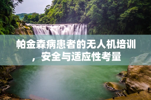 帕金森病患者的无人机培训，安全与适应性考量