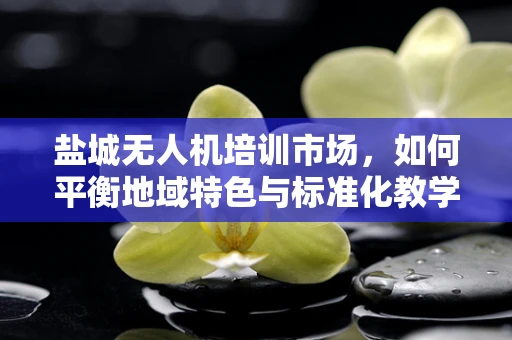 盐城无人机培训市场，如何平衡地域特色与标准化教学？