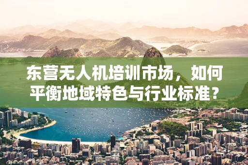 东营无人机培训市场，如何平衡地域特色与行业标准？