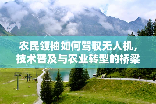 农民领袖如何驾驭无人机，技术普及与农业转型的桥梁？