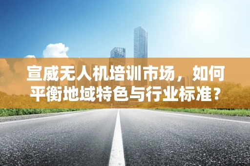 宣威无人机培训市场，如何平衡地域特色与行业标准？