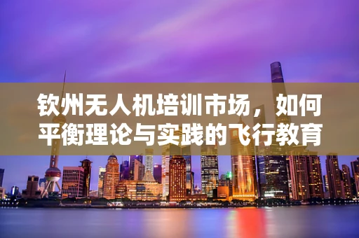 钦州无人机培训市场，如何平衡理论与实践的飞行教育？