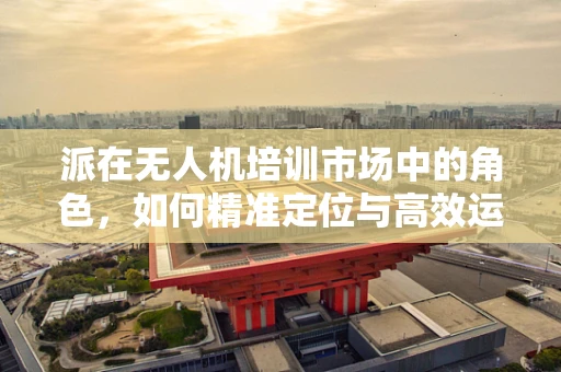 派在无人机培训市场中的角色，如何精准定位与高效运用？