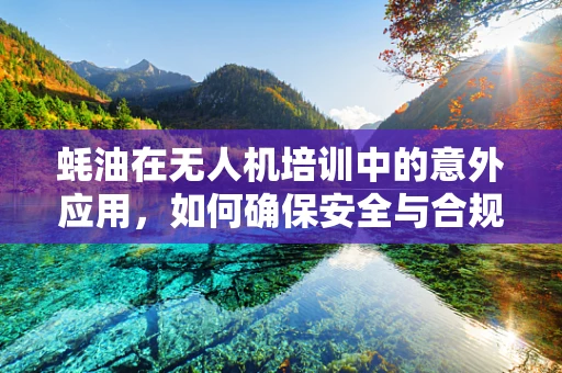 蚝油在无人机培训中的意外应用，如何确保安全与合规？