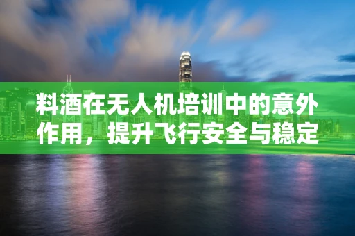 料酒在无人机培训中的意外作用，提升飞行安全与稳定性的创新思路？