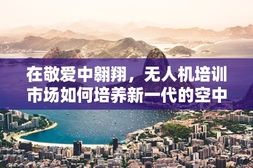 在敬爱中翱翔，无人机培训市场如何培养新一代的空中守护者？