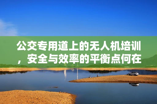 公交专用道上的无人机培训，安全与效率的平衡点何在？
