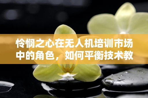 怜悯之心在无人机培训市场中的角色，如何平衡技术教学与人文关怀？