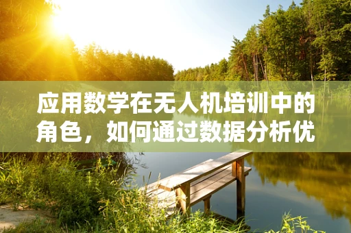 应用数学在无人机培训中的角色，如何通过数据分析优化飞行路径？