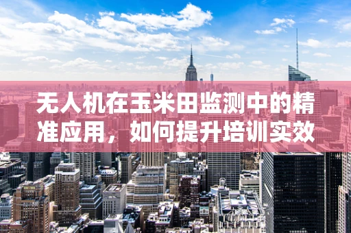 无人机在玉米田监测中的精准应用，如何提升培训实效？