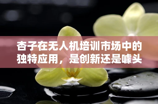 杏子在无人机培训市场中的独特应用，是创新还是噱头？