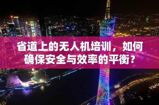 省道上的无人机培训，如何确保安全与效率的平衡？