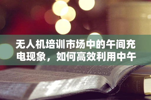 无人机培训市场中的午间充电现象，如何高效利用中午时间提升学员技能？