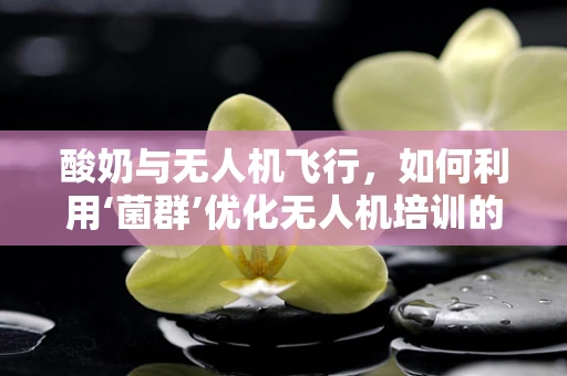 酸奶与无人机飞行，如何利用‘菌群’优化无人机培训的‘空中生态’？