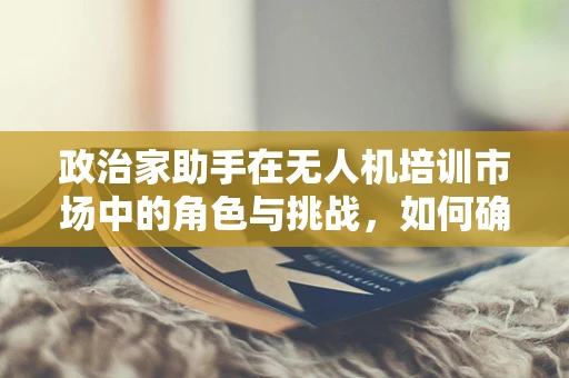 政治家助手在无人机培训市场中的角色与挑战，如何确保政策精准落地？
