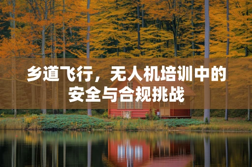 乡道飞行，无人机培训中的安全与合规挑战