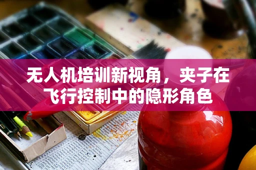 无人机培训新视角，夹子在飞行控制中的隐形角色
