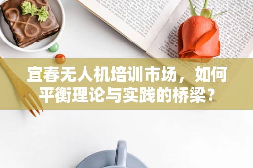 宜春无人机培训市场，如何平衡理论与实践的桥梁？