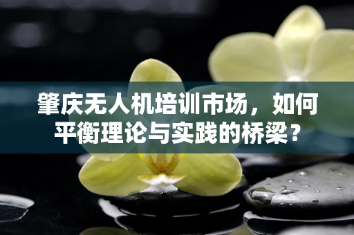 肇庆无人机培训市场，如何平衡理论与实践的桥梁？