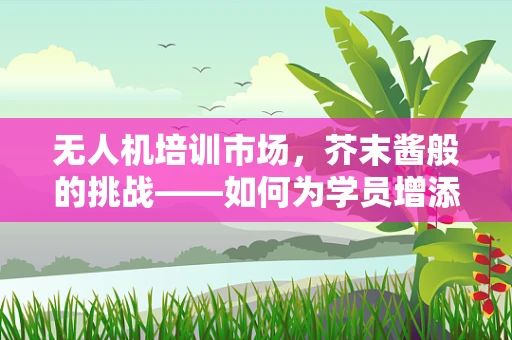 无人机培训市场，芥末酱般的挑战——如何为学员增添特别味？