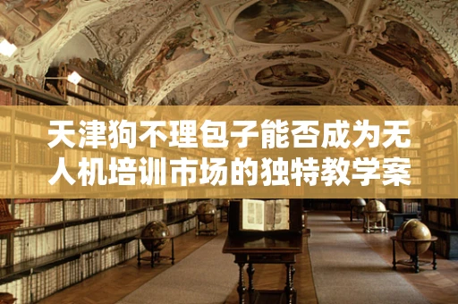 天津狗不理包子能否成为无人机培训市场的独特教学案例？