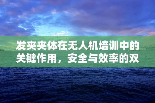 发夹夹体在无人机培训中的关键作用，安全与效率的双重保障