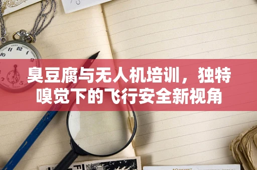 臭豆腐与无人机培训，独特嗅觉下的飞行安全新视角