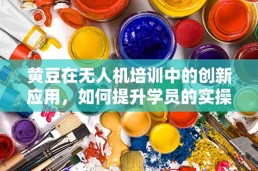 黄豆在无人机培训中的创新应用，如何提升学员的实操技能？
