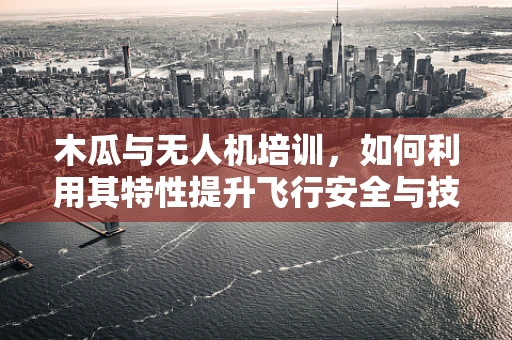 木瓜与无人机培训，如何利用其特性提升飞行安全与技能训练？