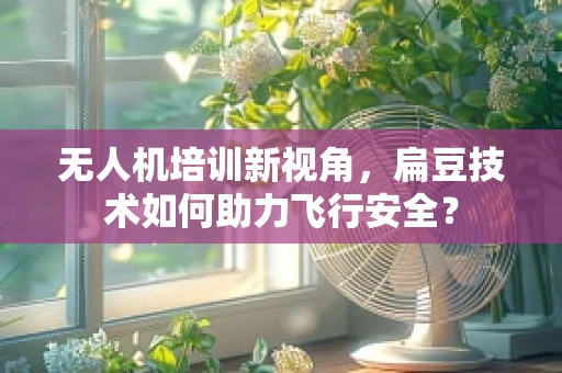 无人机培训新视角，扁豆技术如何助力飞行安全？