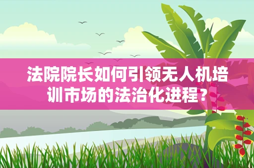 法院院长如何引领无人机培训市场的法治化进程？