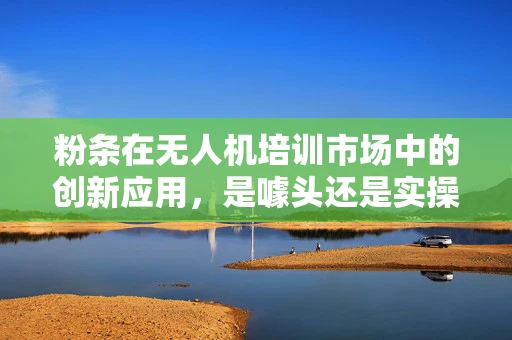 粉条在无人机培训市场中的创新应用，是噱头还是实操新宠？